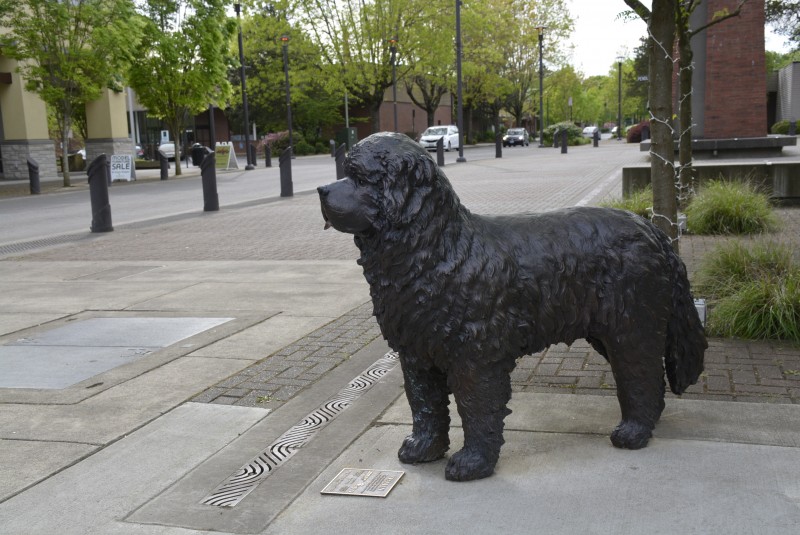 Seaman stands guard at Reflection Plaza in downtown Washougal – Rene Carroll 