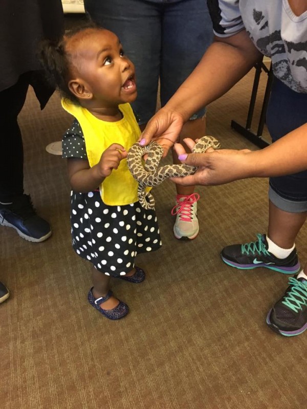  Scene from 'Snakes Alive' program at the Remington Nature Center