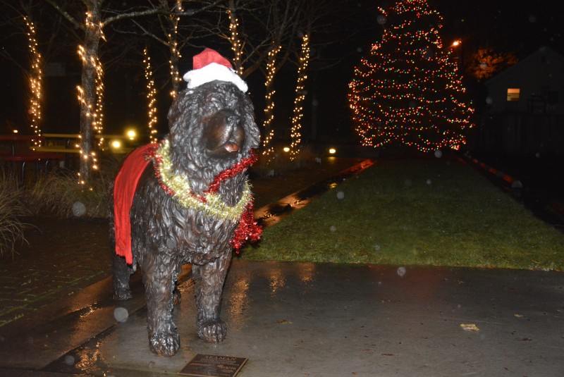  Seaman is in the holiday spirit for Christmas. – Rene Carroll 
