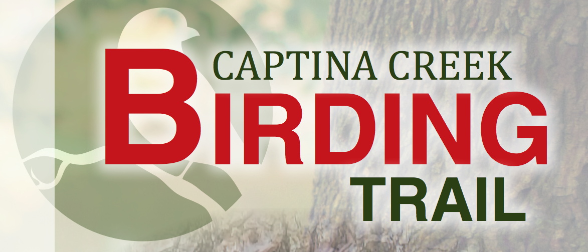 Captina Creek Birding Trail