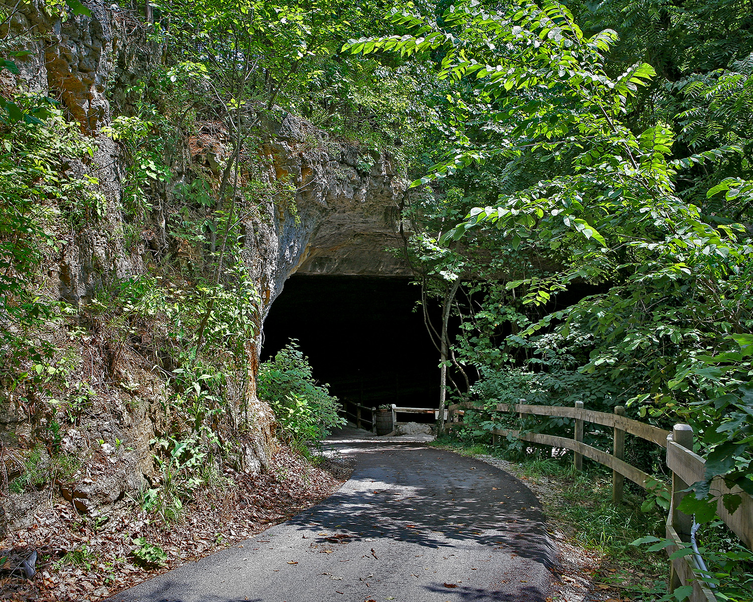 entrance to the cave
