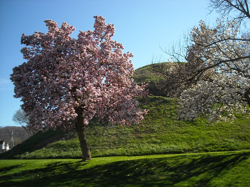 Grave Creek Mound Historic Site