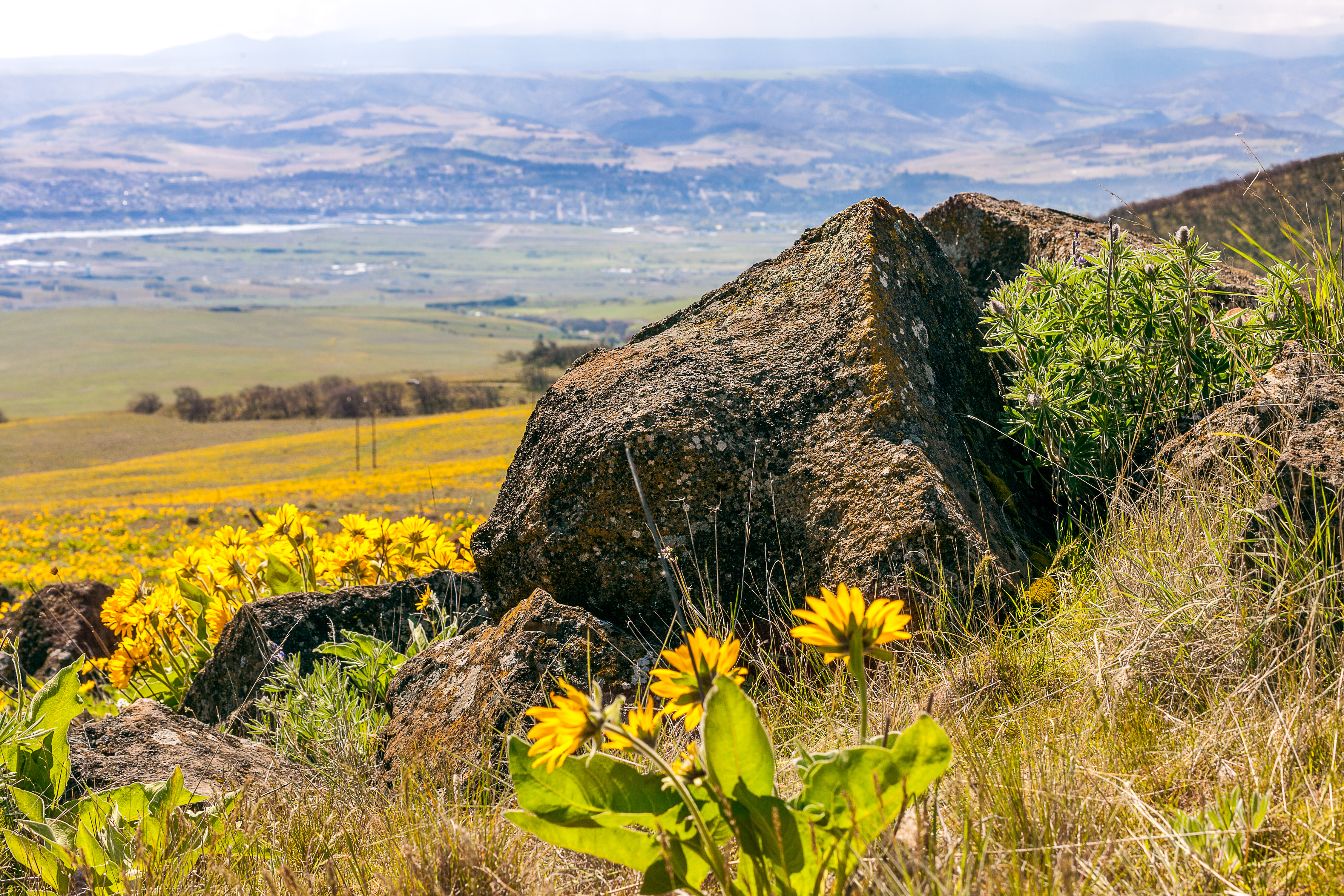 Columbia Hills State Park