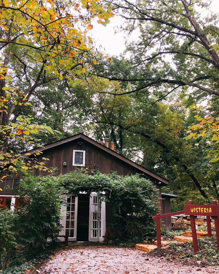 Wisteria Cabin in Fall