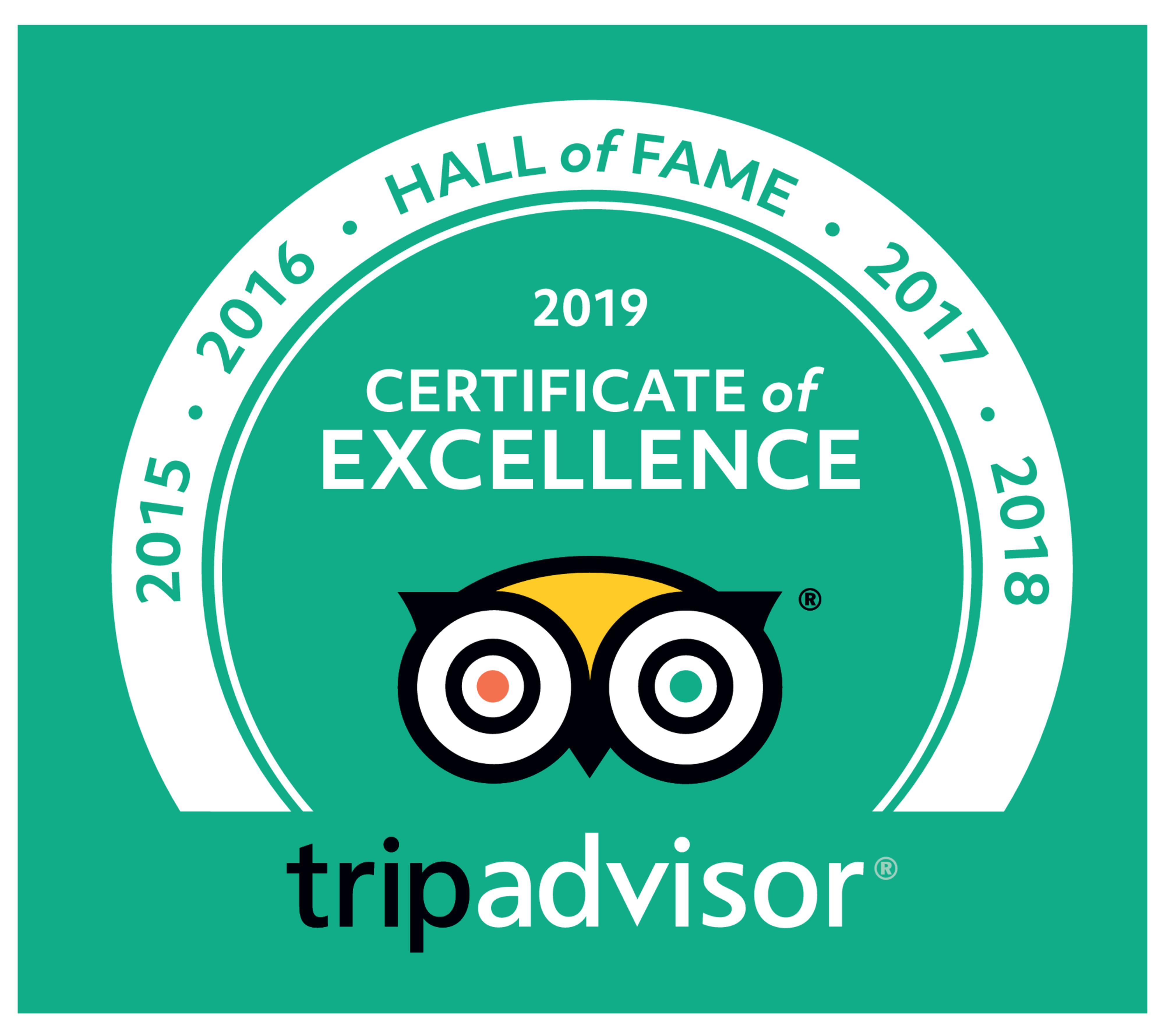 Highly rated Trip Advisor activity
