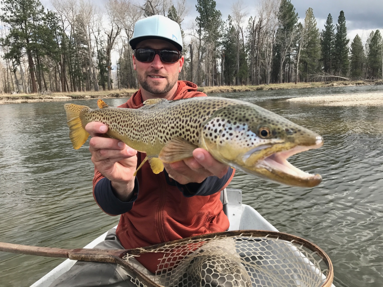 Missoulian Angler Fly Shop Brown Trout