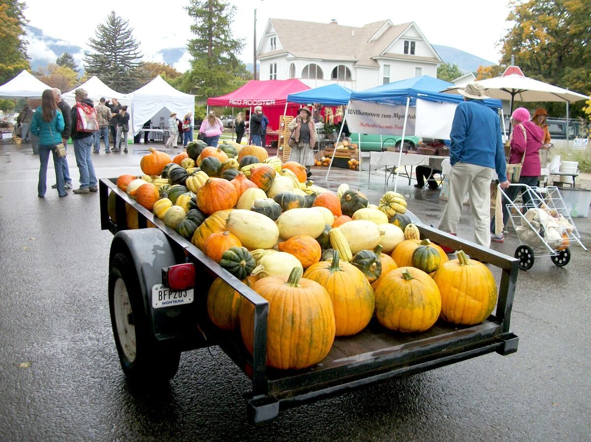 tractor loaded with squash