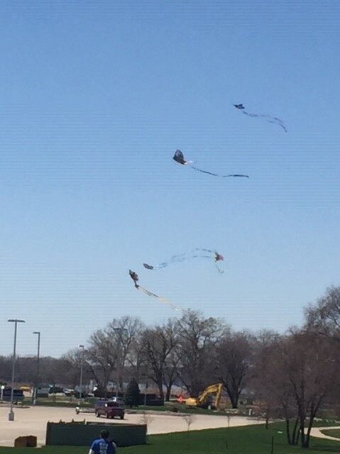 Kite Flying/Scavenger Hunt