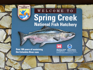 Spring Creek National Fish Hatchery
