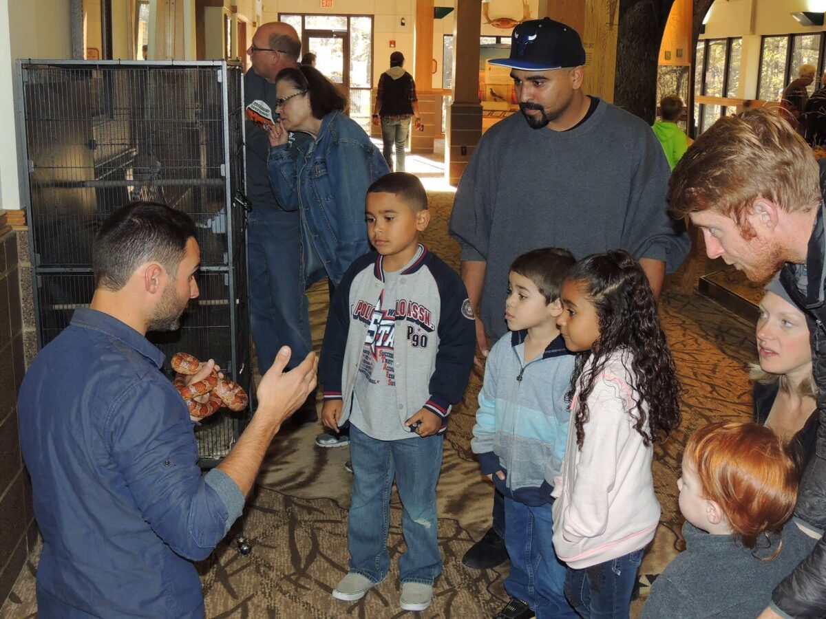 A nature center naturalist showing snake to visitors