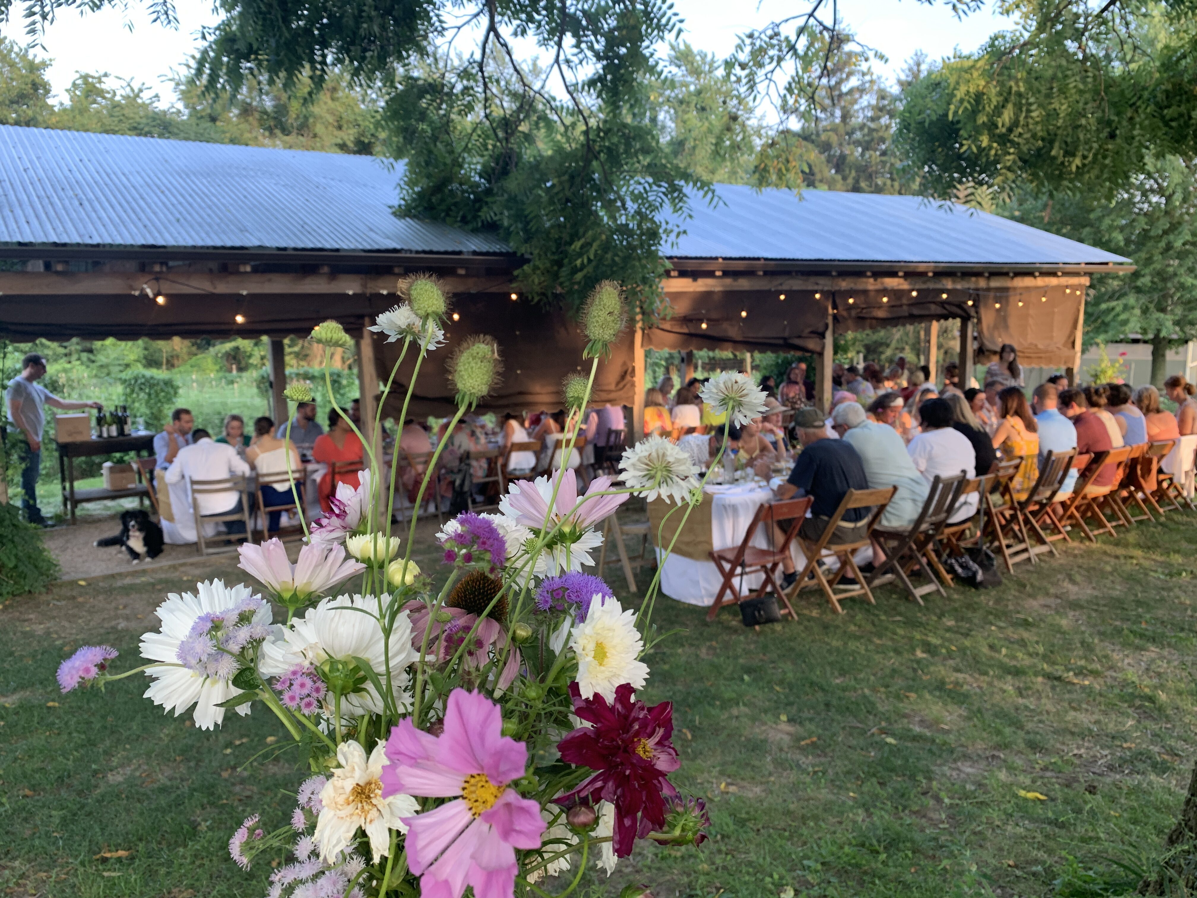 Guests sitting down to one of our Farm Dinner events