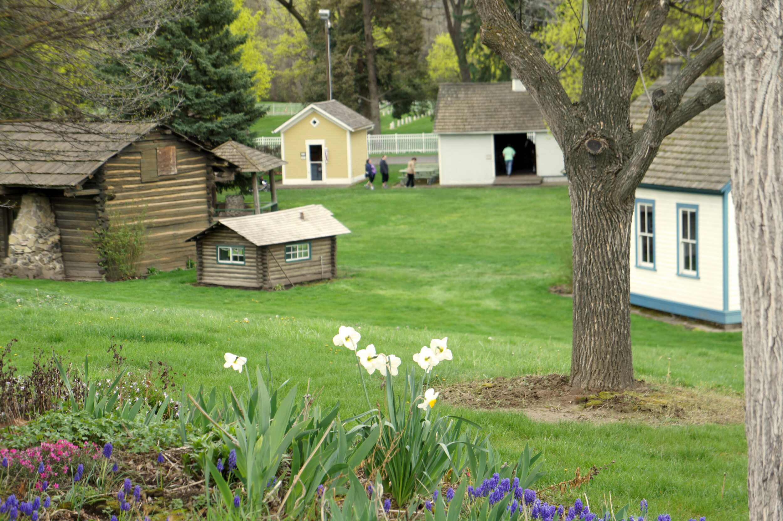 An exterior shot of the museum's pioneer village, showing green grass, flowers, and several old wooden buildings.