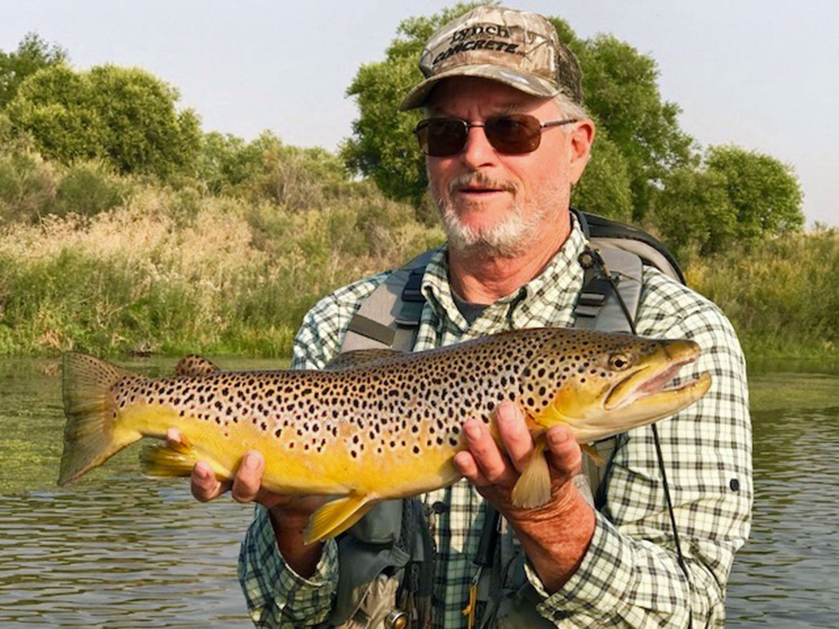 Brown trout caught fly fishing