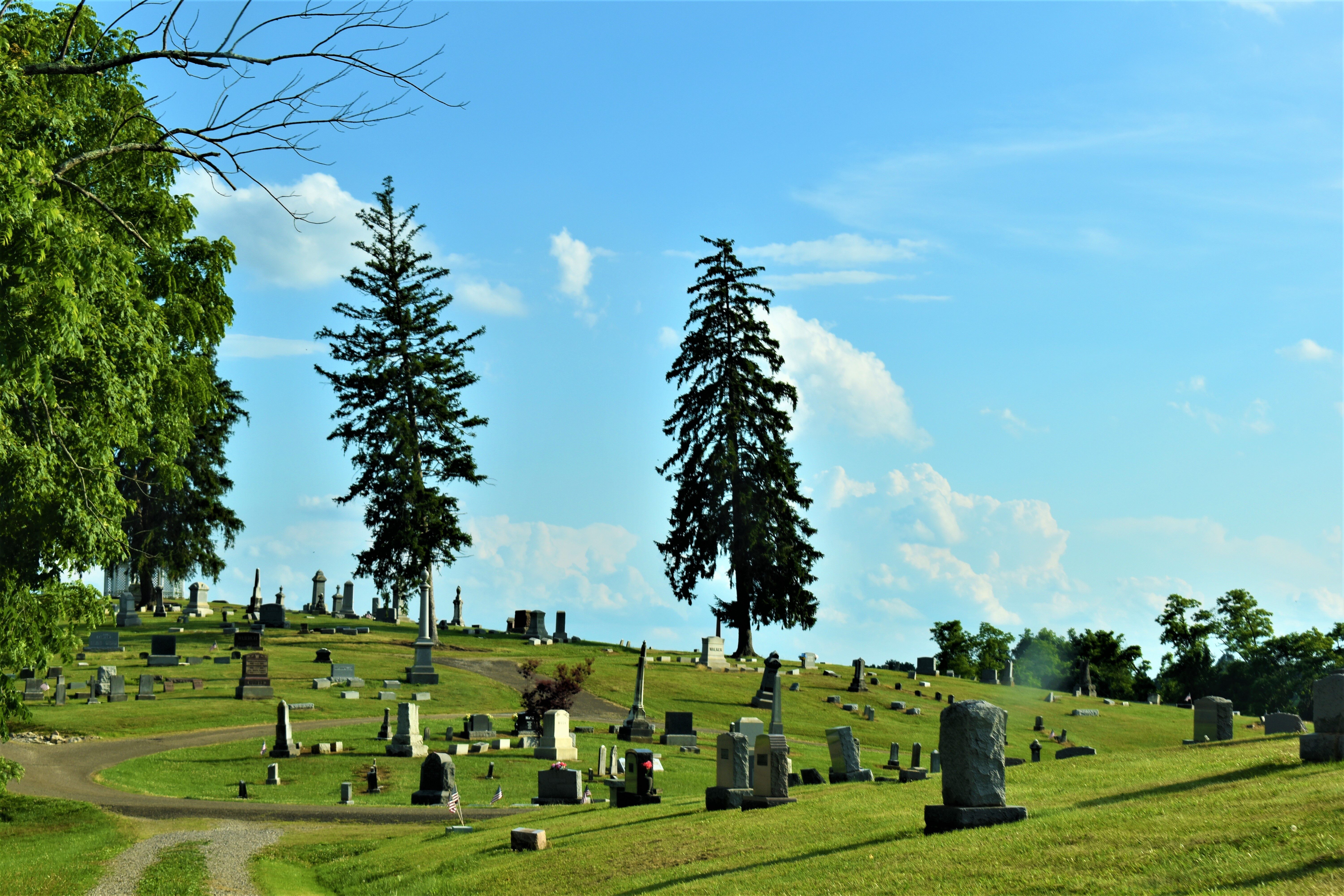 Section of the cemetery