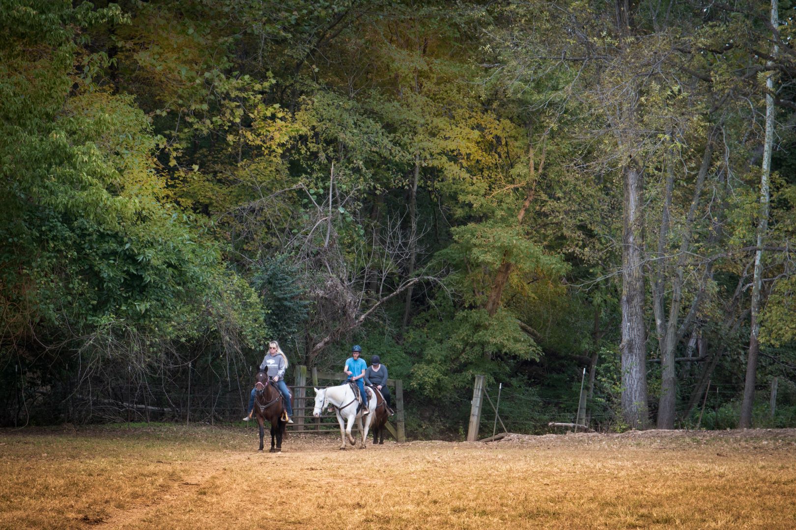Pere Marquette Riding Stables