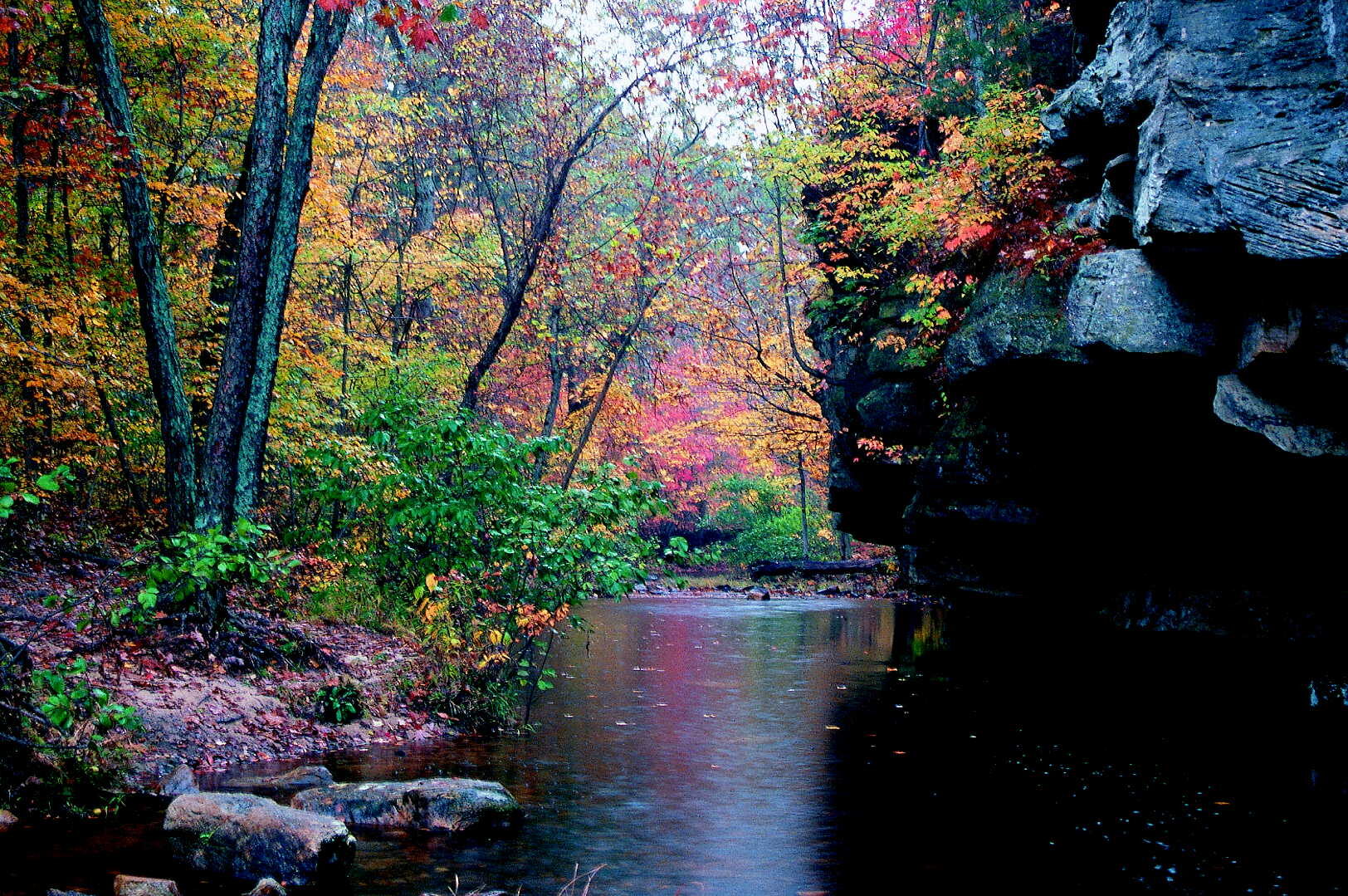 autumn colors in Hawn State Park