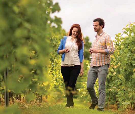 A couple walking in a vineyard on the Shawnee Wine Trail along the Lewis and Clark Historic Trail