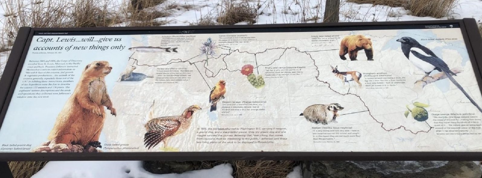 Lewis and Clark National Historic Trail Visitor Center – Fauna Markers