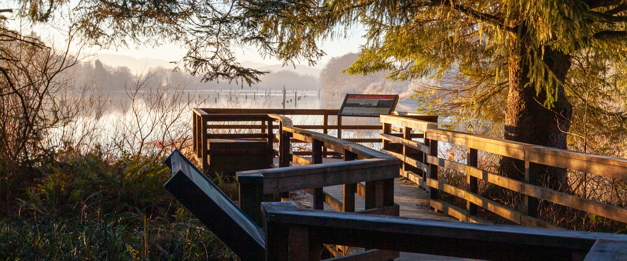 Netul Landing and Trail