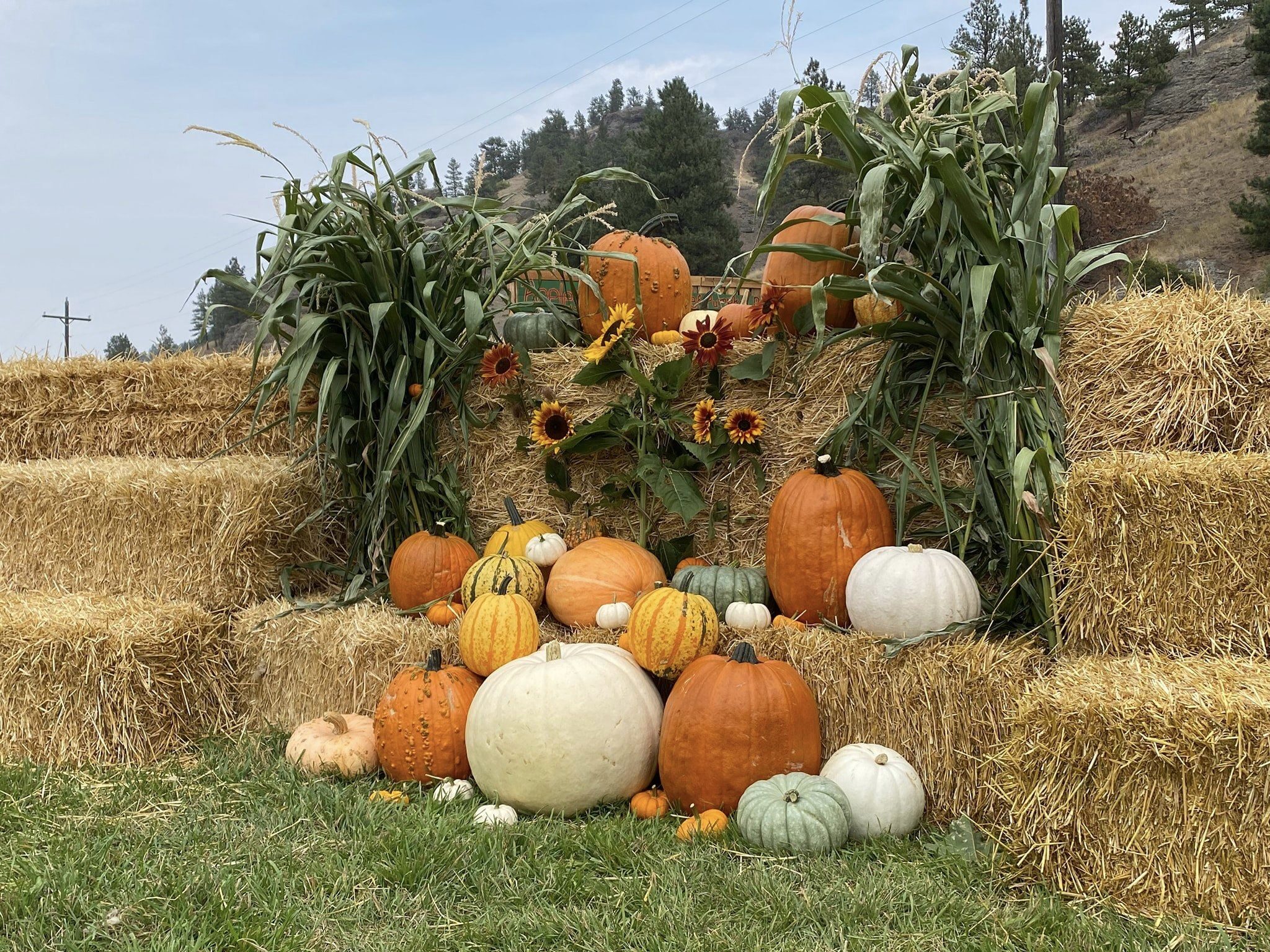Pumpkins on display at Applestem along the Lewis and Clark National Historic Trail