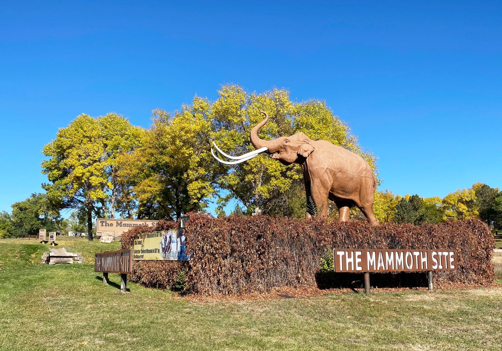 The Mammoth Site