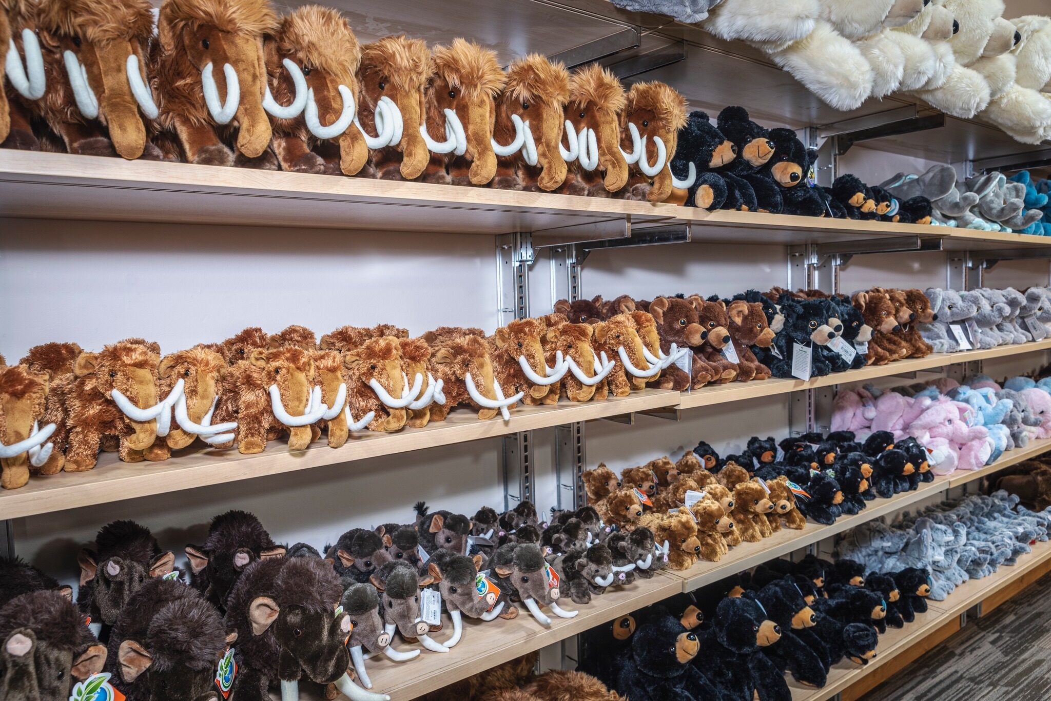 The Mammoth Site store is filled of stuffed mammoth plushies.