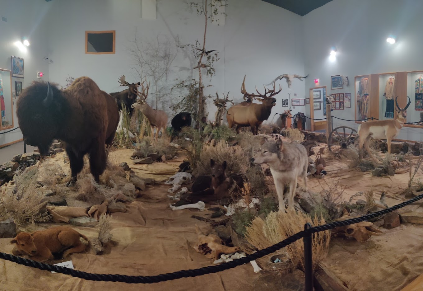 ninepipes museum of early montana lewis and clark trail