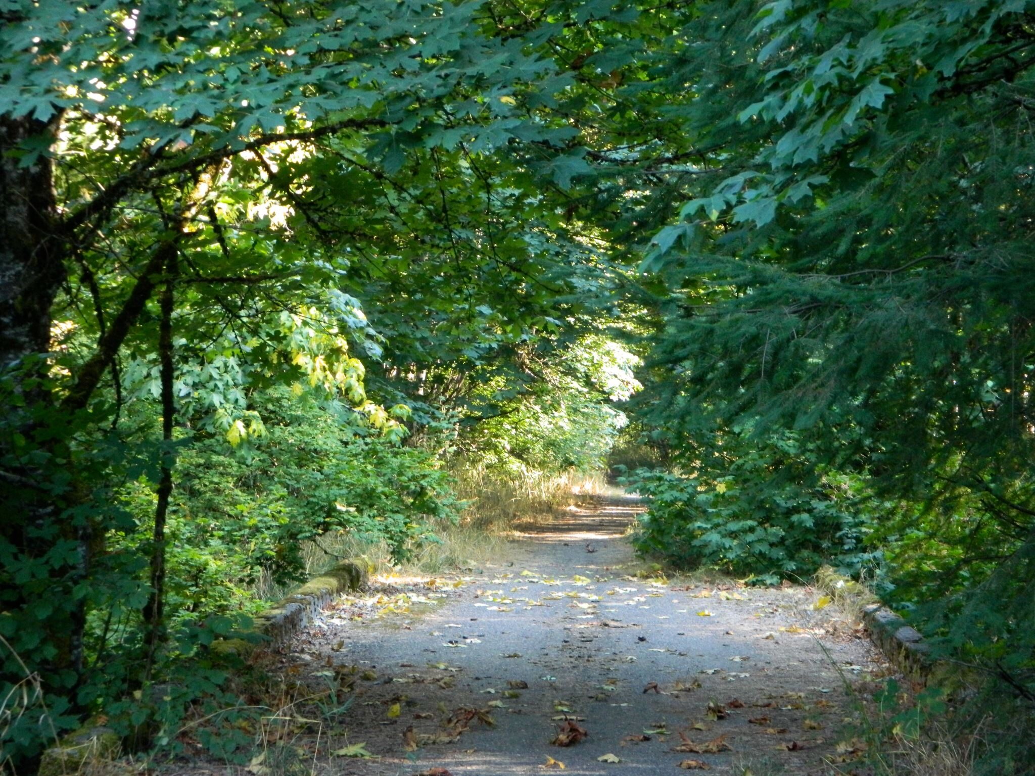 Crown Zellerbach Trail