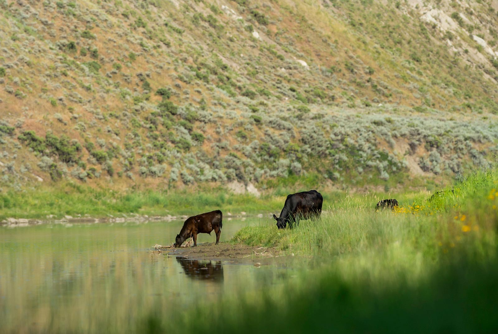 Frequently Asked Questions Lewis And Clark National Historic Trail 