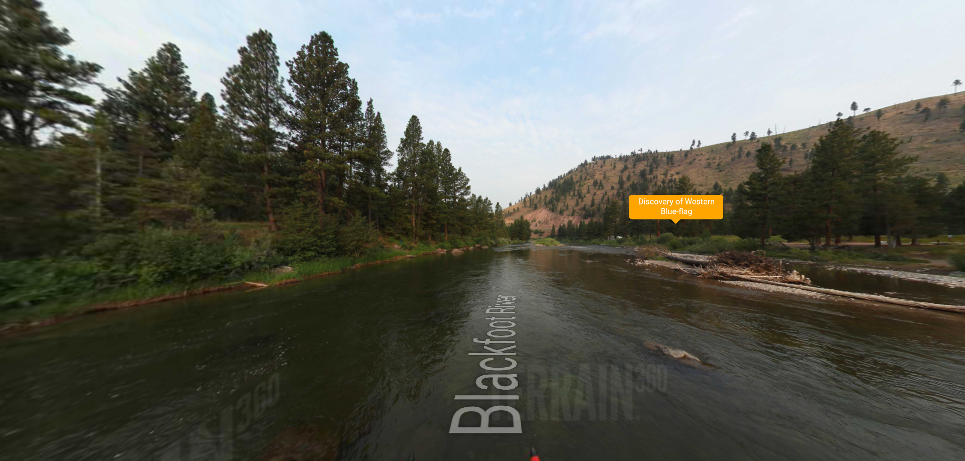 Blackfoot River Beginning