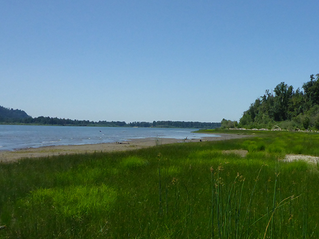 Reed Island State Park