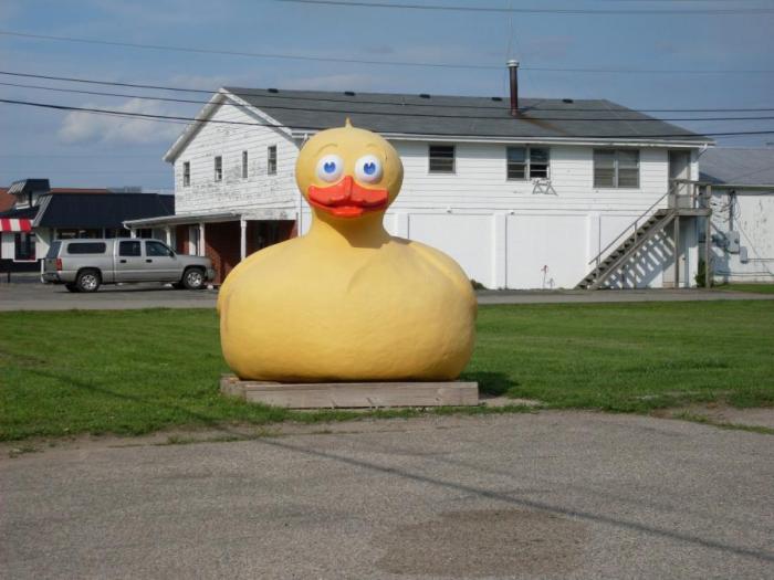 Giant Rubber Duckie