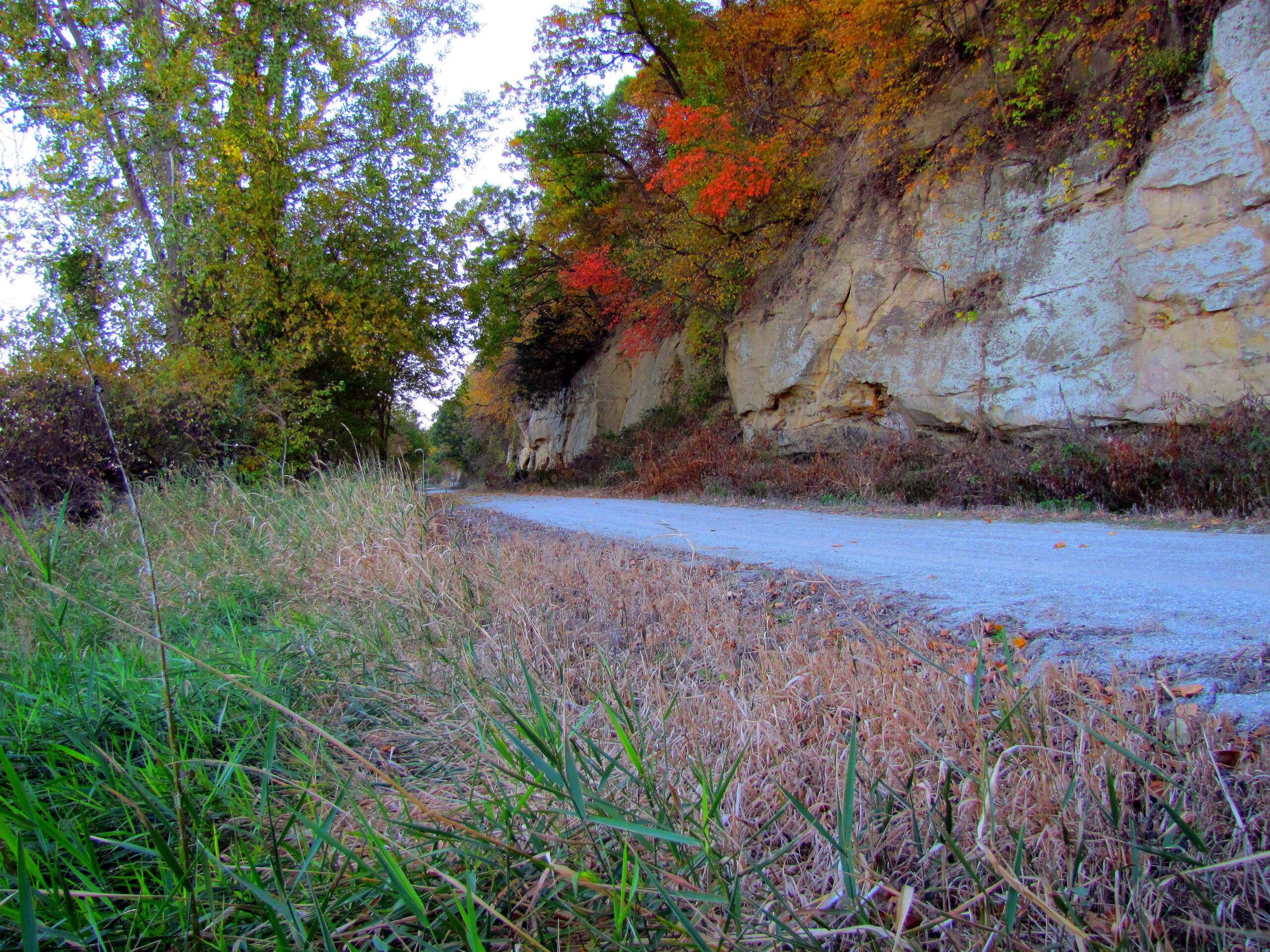 Steamboat Trace