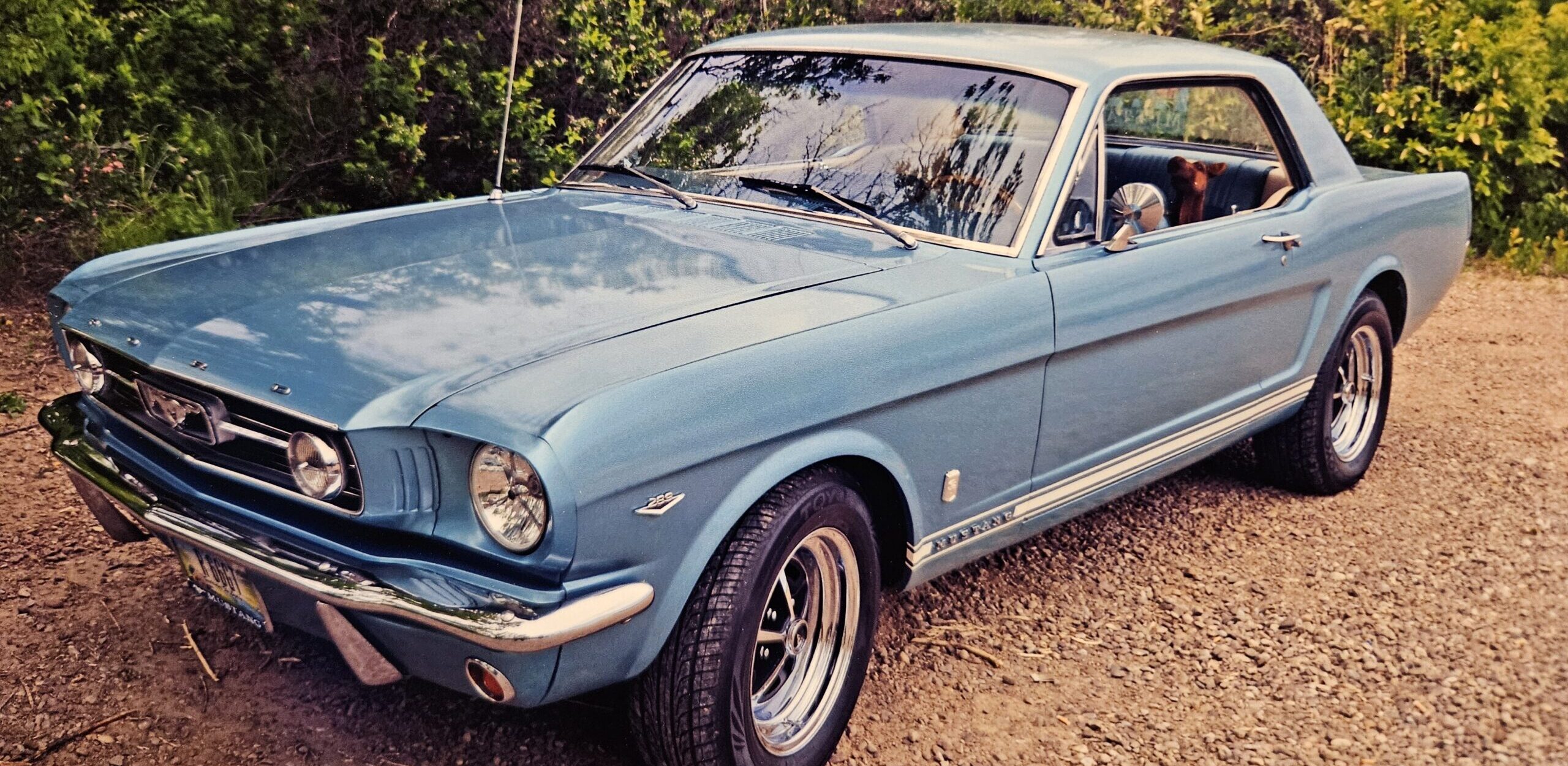 Classic Cars at the Lewis and Clark Interpretive Center