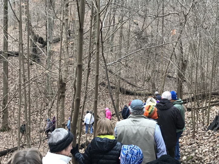 First Day Hikes