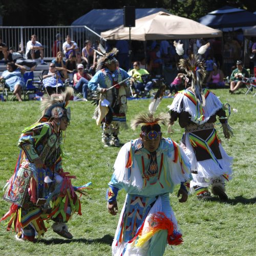 Annual Nesika Illahee Pow Wow