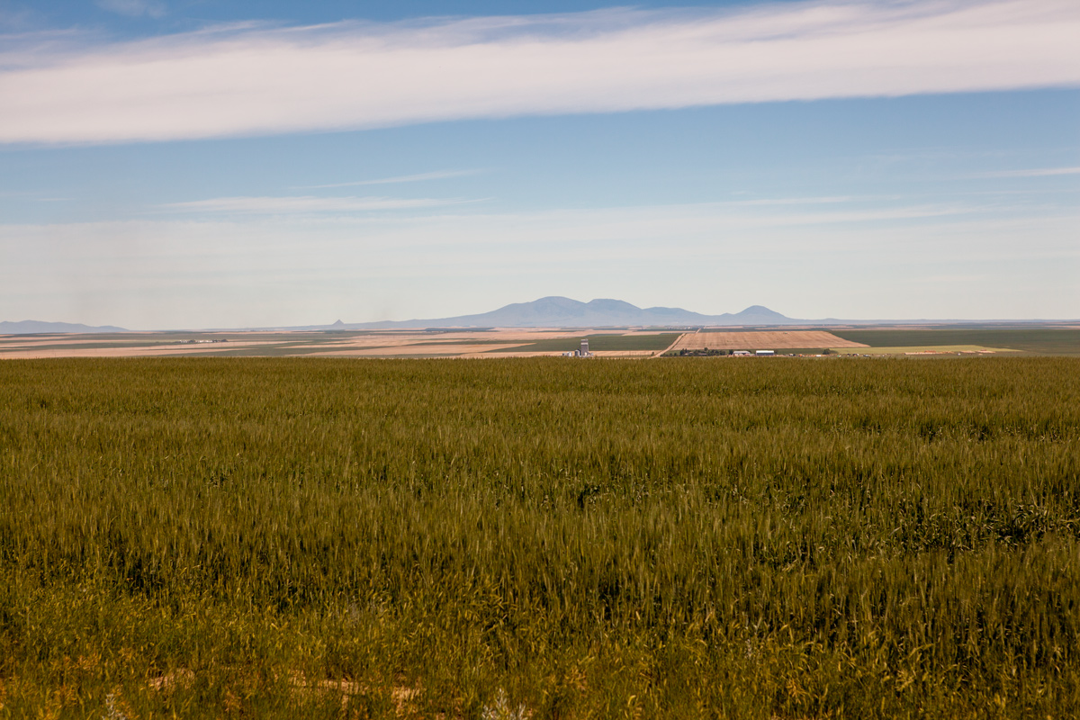 Bears Paw Mountains