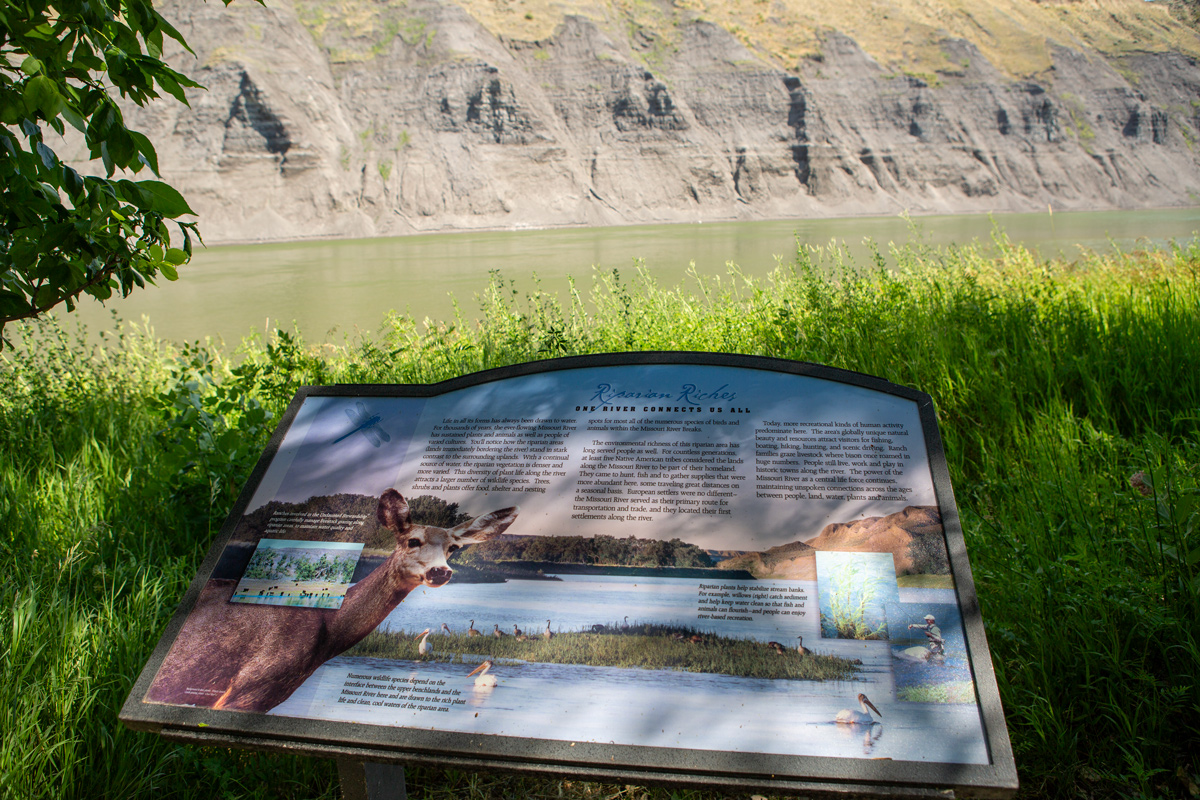 "the bluff are blackish Clay & Coal for about 80 feet. the earth above that for 30 or 40 feet is a brownish yellow, a number of bars of corse gravil and Stones of different Shape & Size &c."—William Clark June 12, 1805