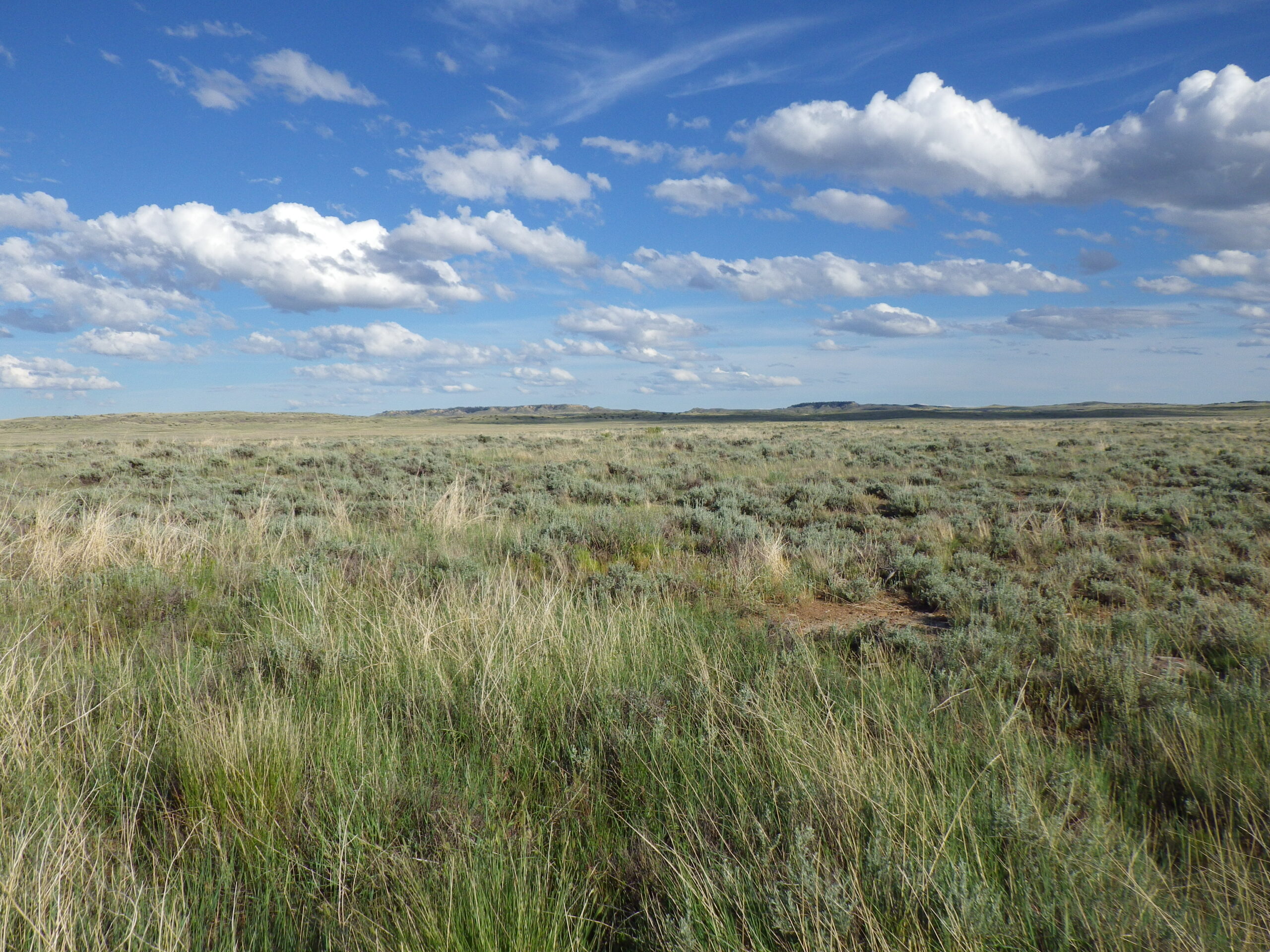 Brandon Butte (center) and Mickey Butte (to the left of Brandon Butte)