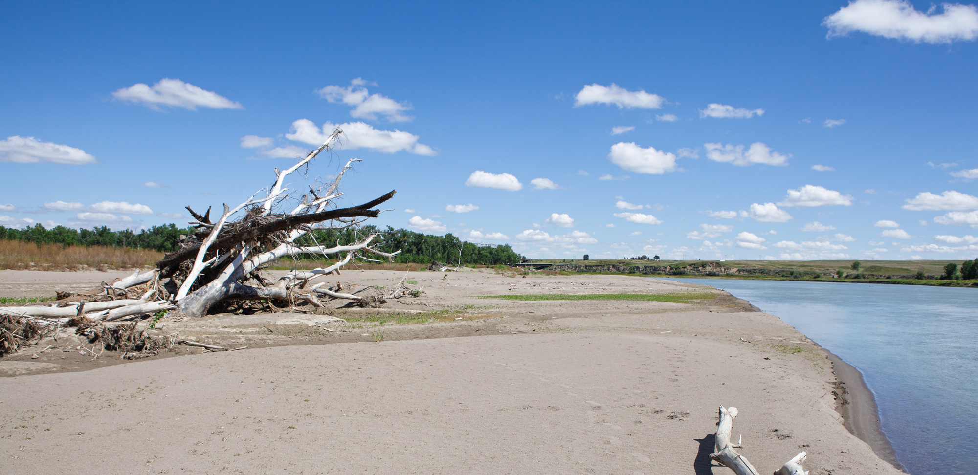 Lewis and Clark Park at Wolf Point Bridge