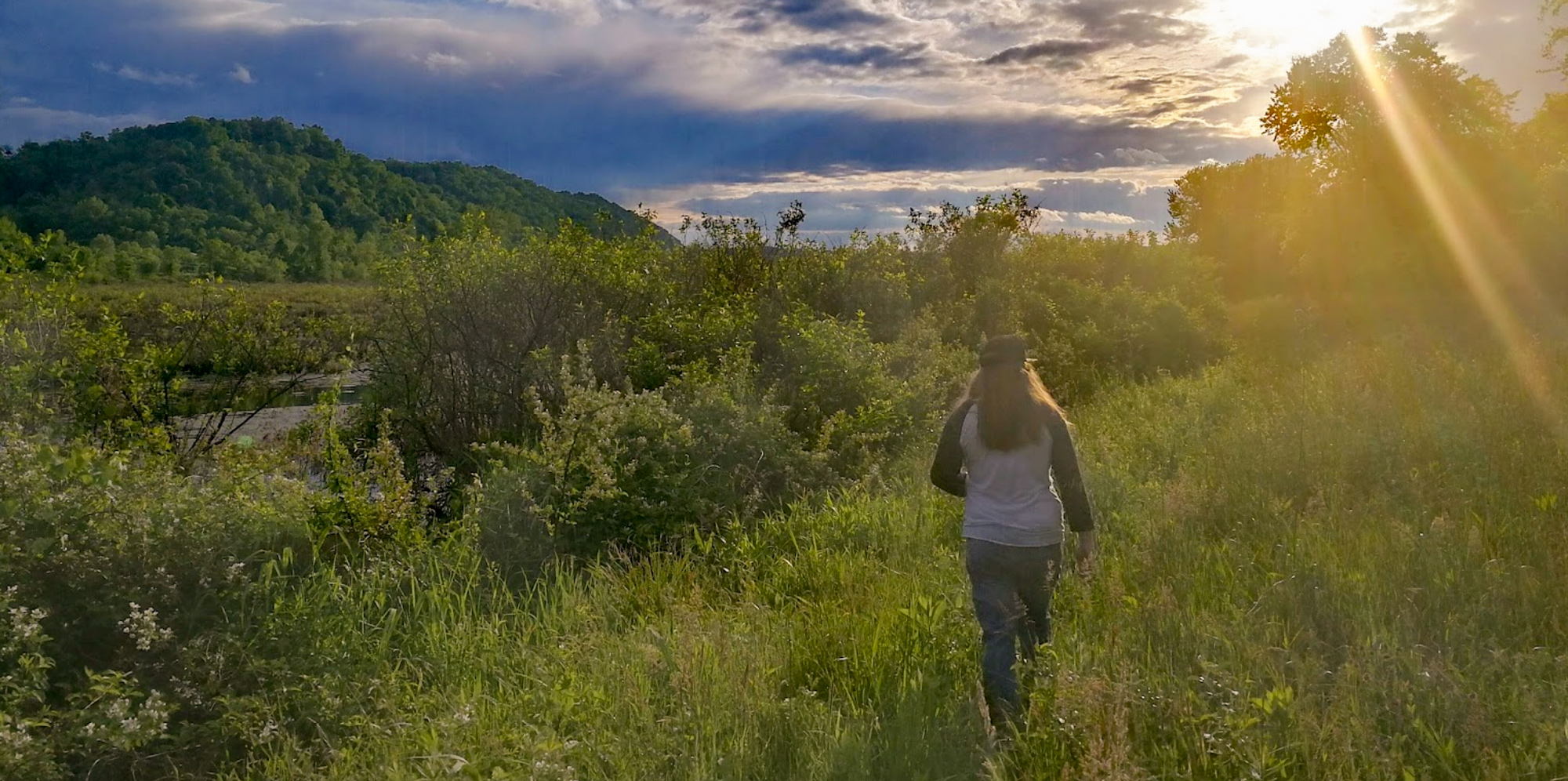 Green Bottom Wildlife Management Area