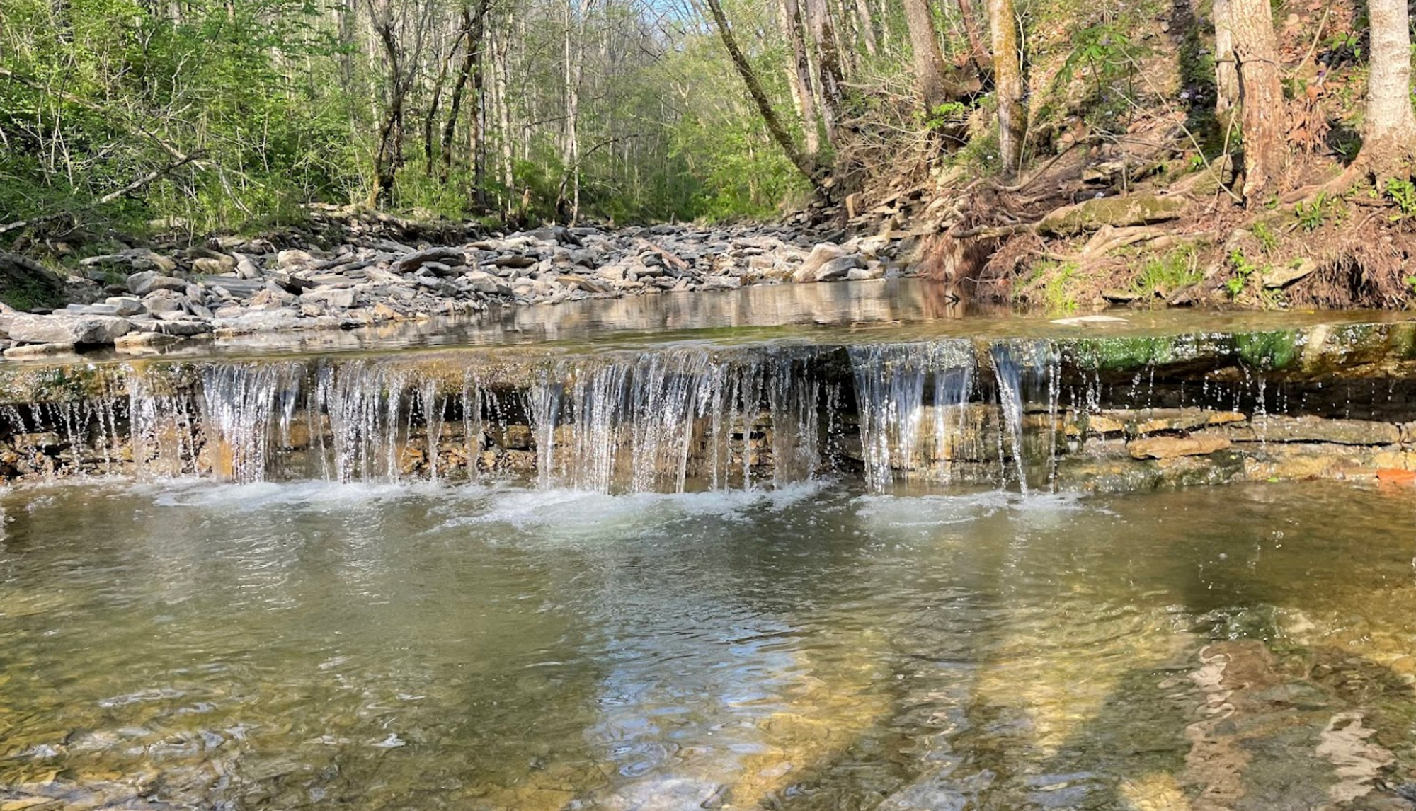 Kope Hollow Nature Preserve