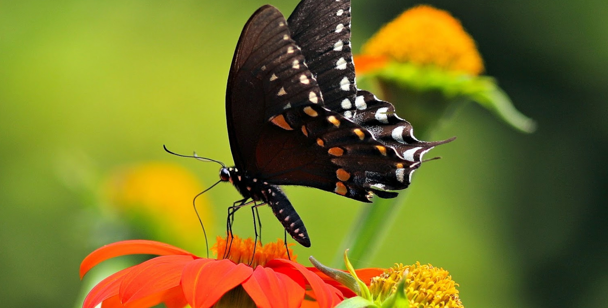 Louisville Nature Center