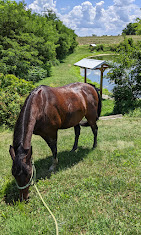 Bracken Creek Horse and Hiking Trails