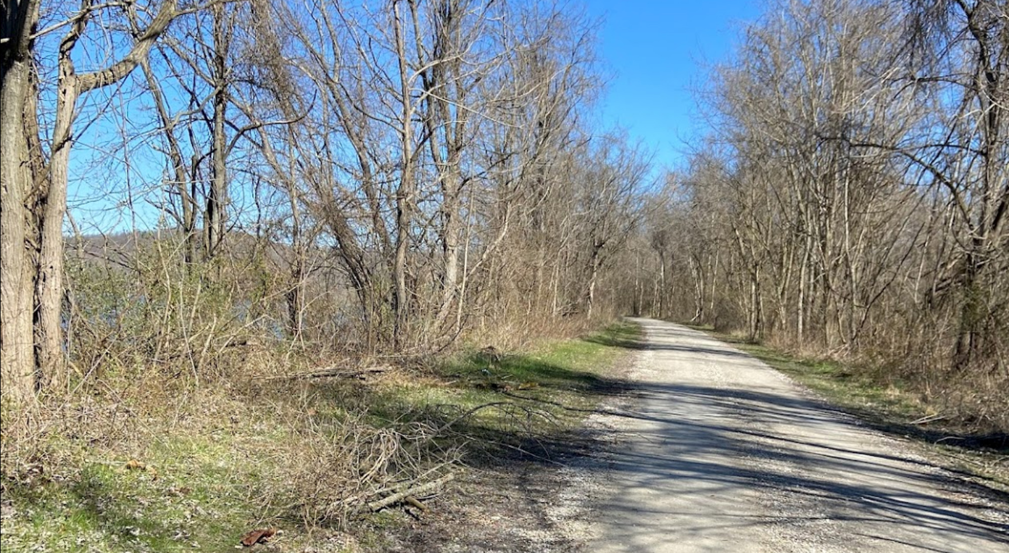 Middle Island Trails