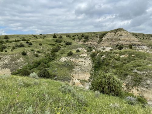 Birnt Hills Trail