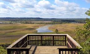 Eagle Bluffs Conservation Area