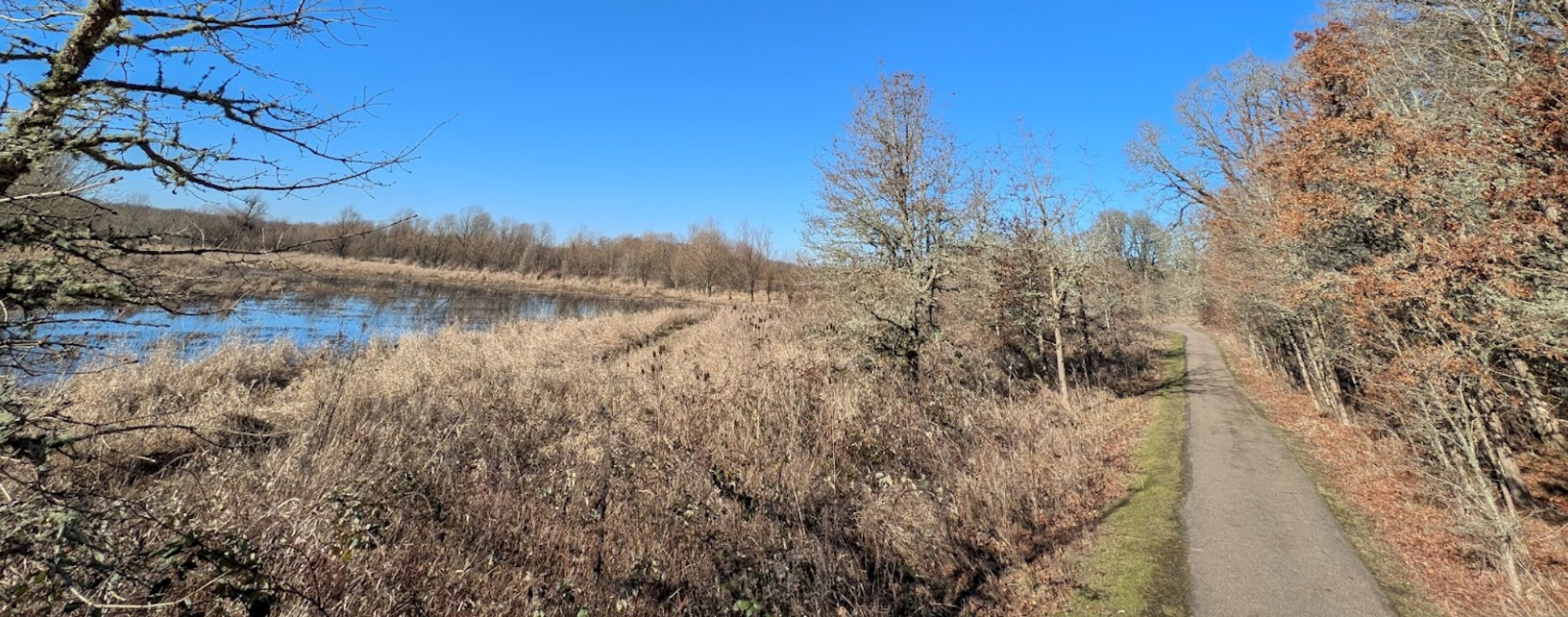 Oaks to Wetlands Loop Trail