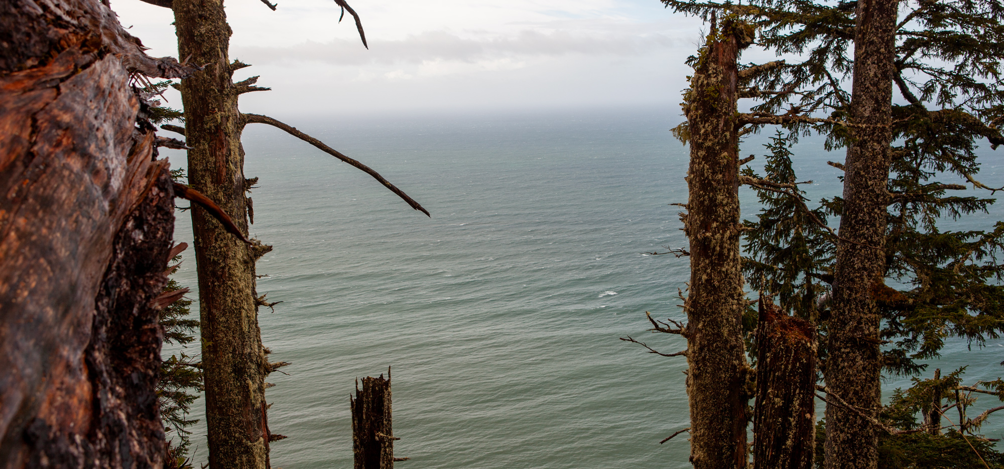 Tillamook Head Trail (Northern Trailhead)