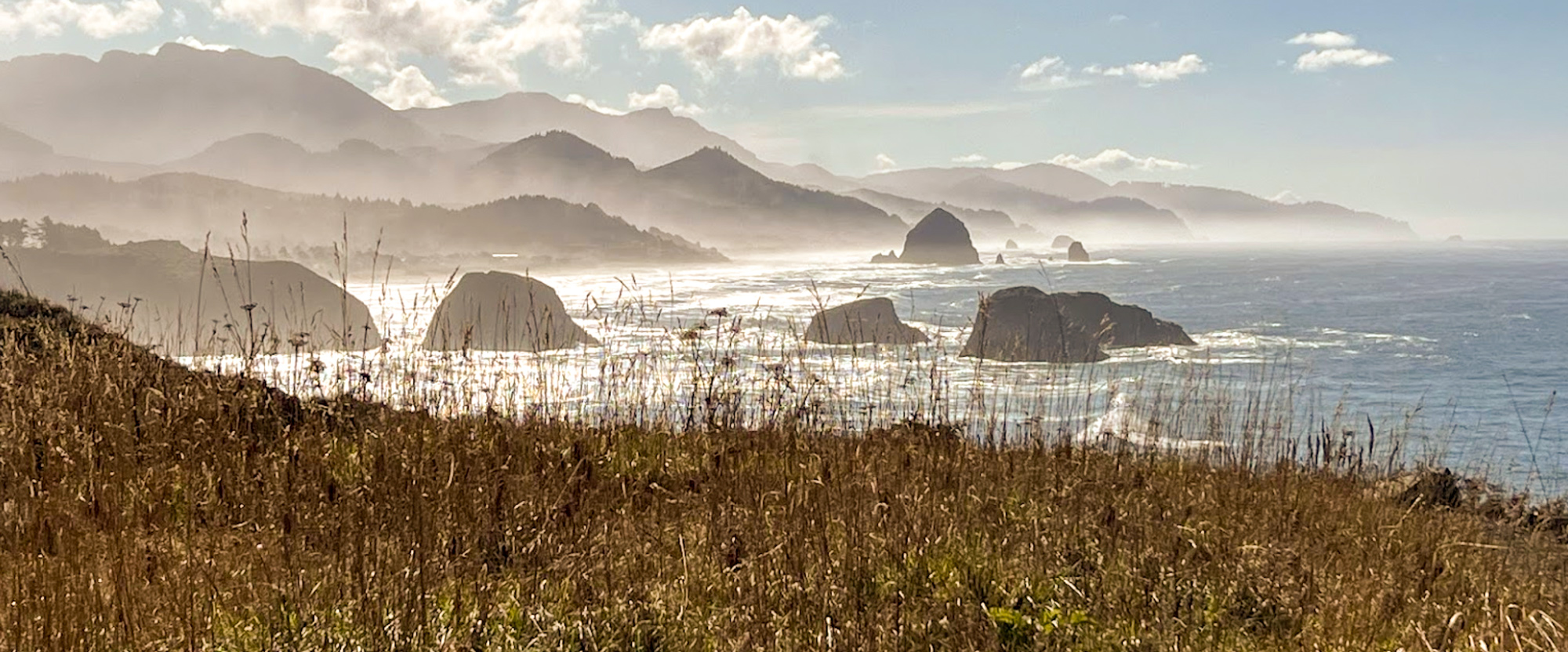 Ecola Point Viewpoint